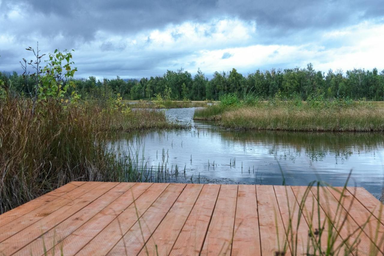Snowgoose Pond Bed & Breakfast Palmer Kültér fotó