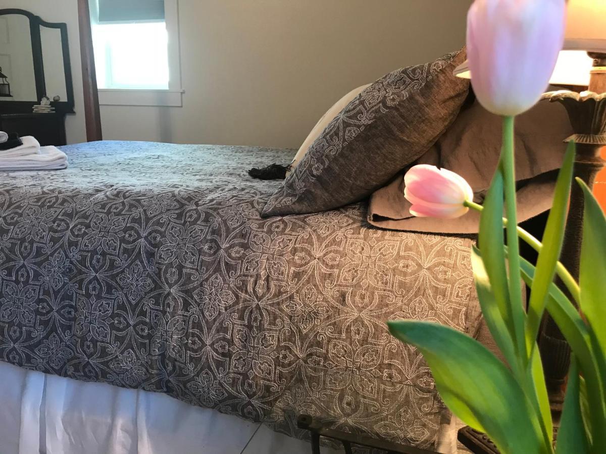 Snowgoose Pond Bed & Breakfast Palmer Kültér fotó